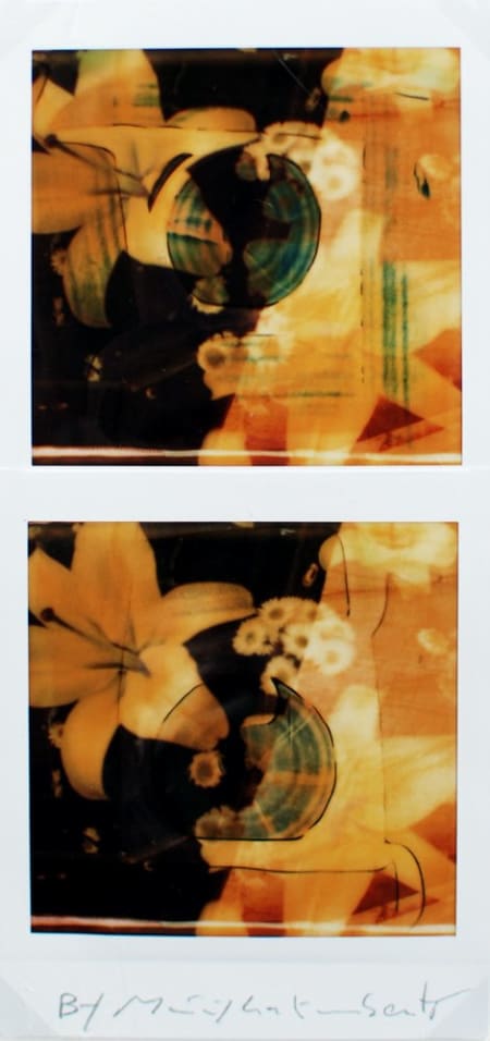 Maurizio Galimberti — Bi flowers